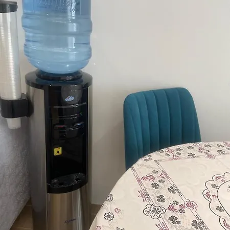 Апартаменты Center Kafe Flora Тирана